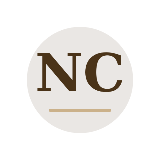 Noda Chimney Repair logo